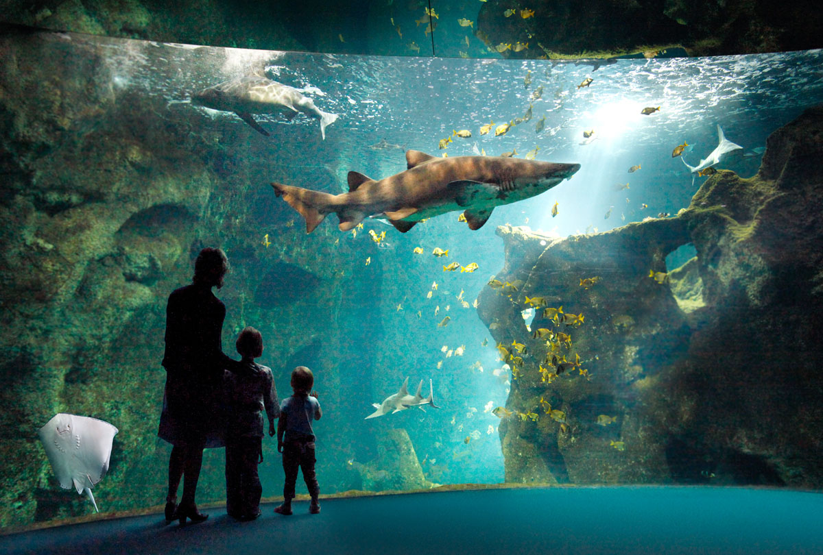 Aquarium de La Rochelle