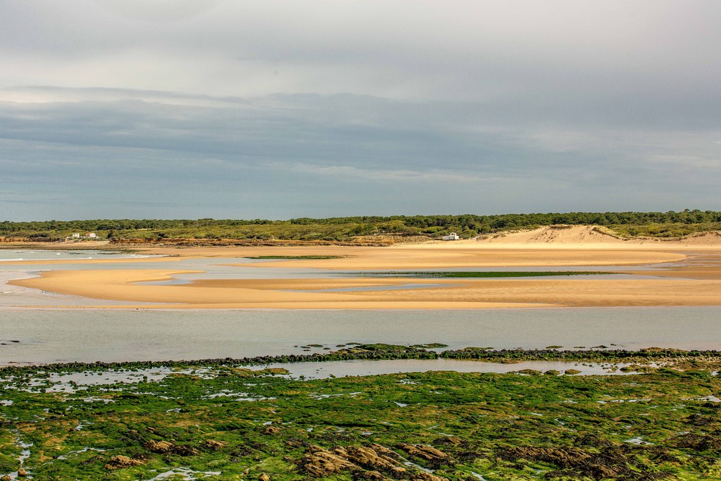 Estuaire-du-Payre-TalmontSaint