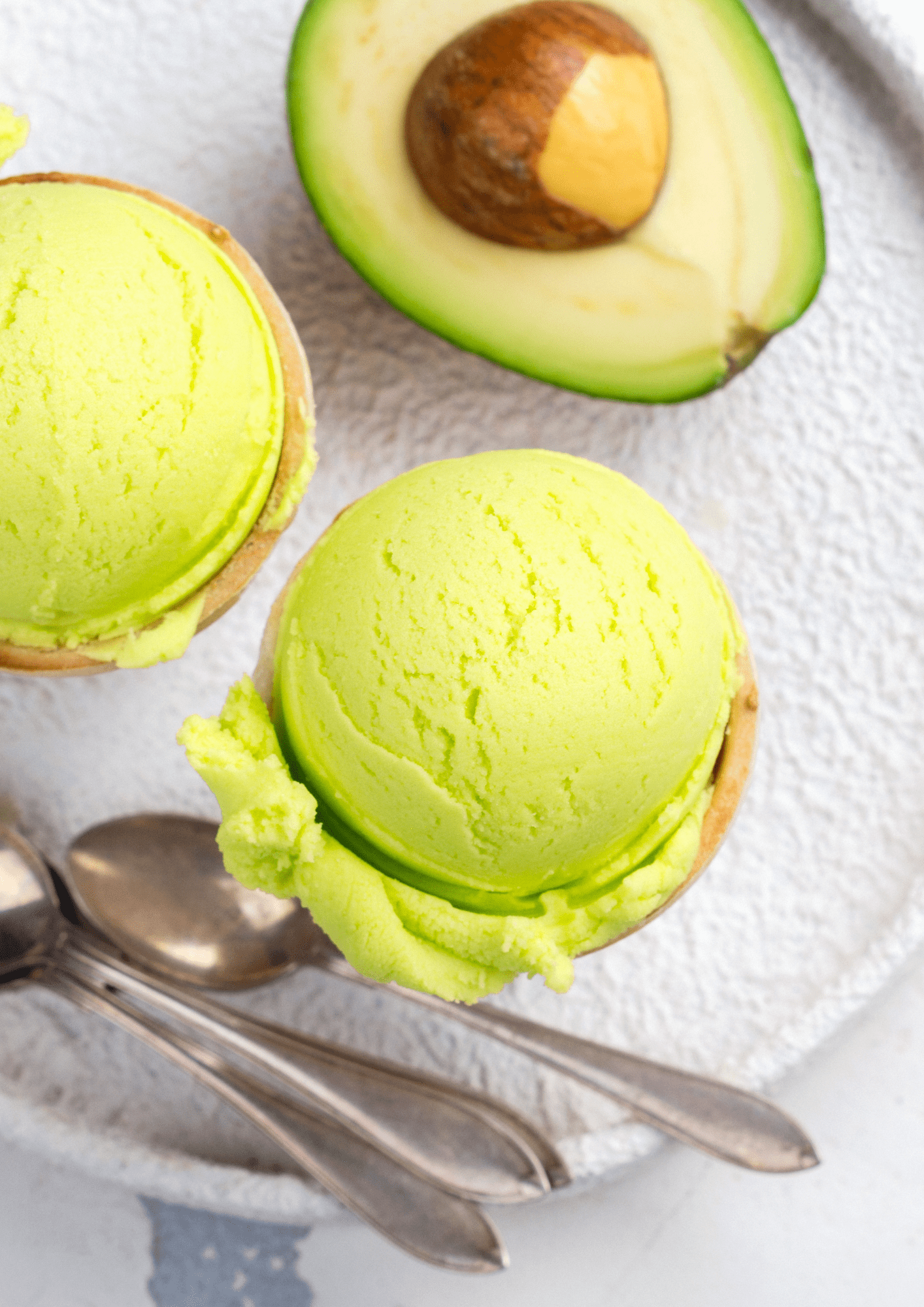 glace-a-l-avocat-les-sables-d-olonne