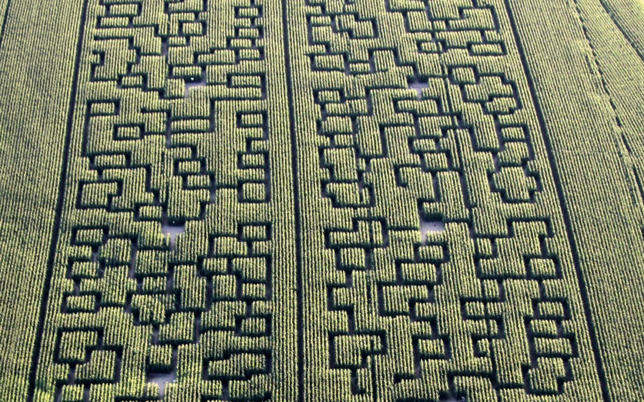 Pop corn Labyrinthe