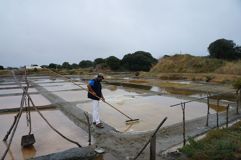 les-salines-vendee