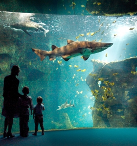 Aquarium de La Rochelle