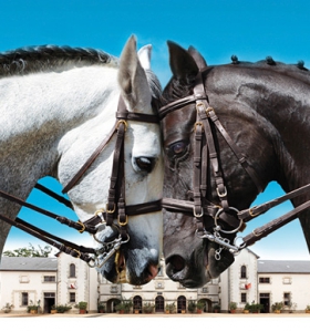 Haras de la Vendée