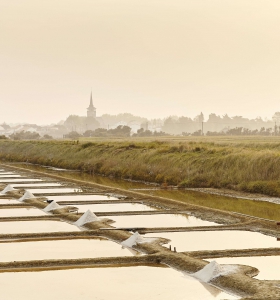 Ile-d-dOlonne