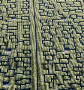 Pop corn Labyrinthe