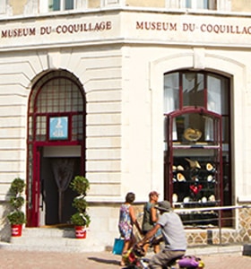 muséum du coquillage