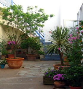 Patio Del Mar