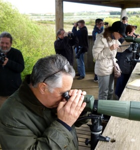 L'Observatoire d'Oiseaux