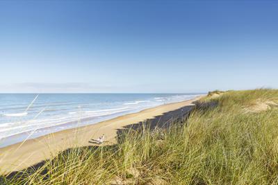 sauveterre plage olonne sur mer