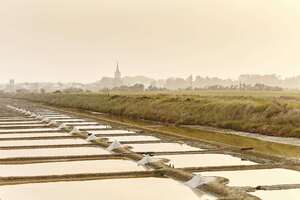 Ile-d-dOlonne