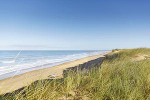 plage olonne sur mer sauveterre