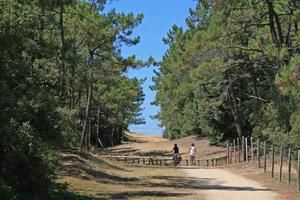 forêt domaniale olonne sur mer